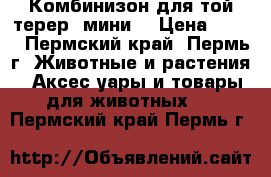 Комбинизон для той-терер  мини. › Цена ­ 500 - Пермский край, Пермь г. Животные и растения » Аксесcуары и товары для животных   . Пермский край,Пермь г.